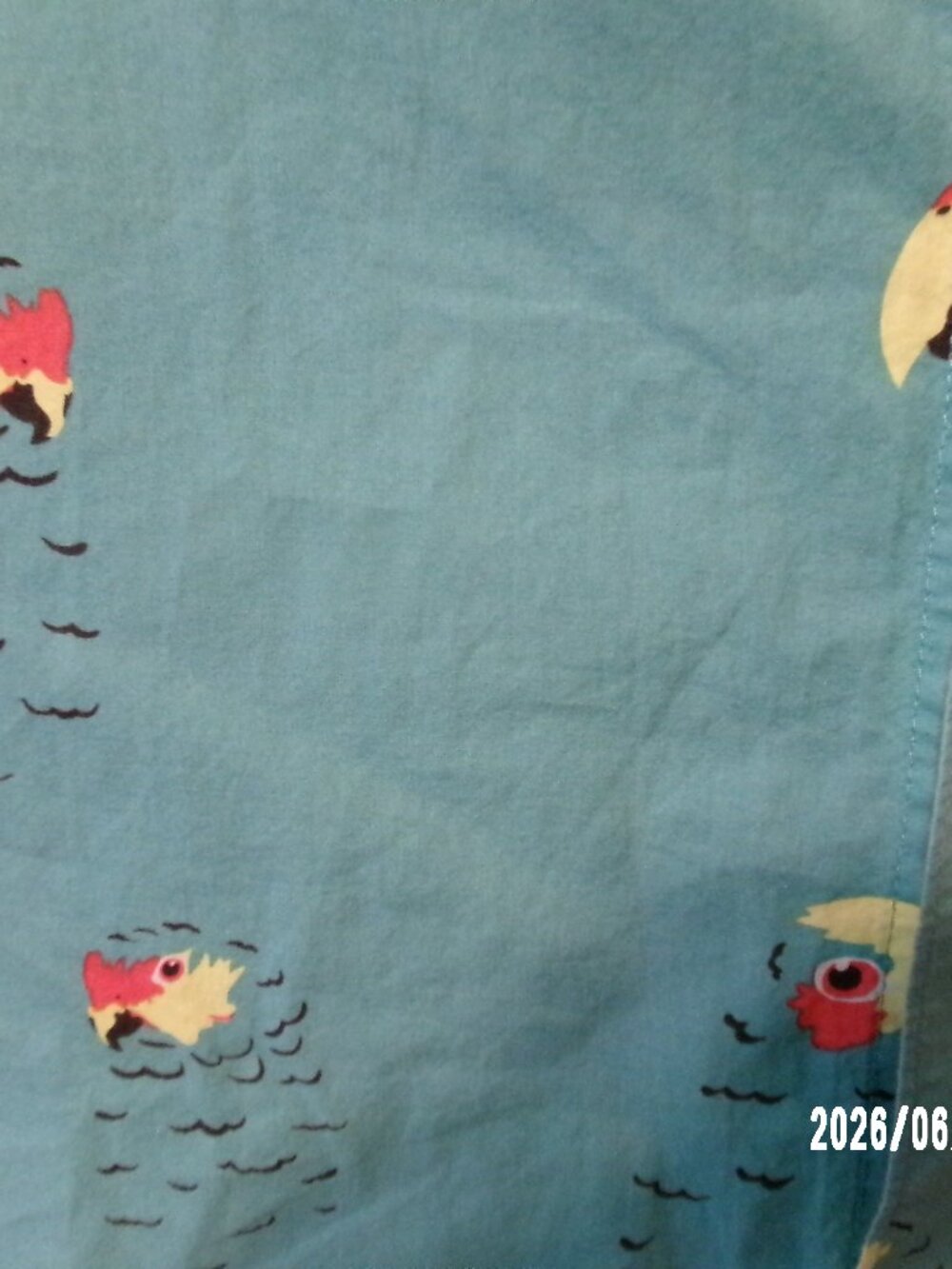 Vintage ambsn PARROTS bird Print Shirt Mens M Aqua Cotton Short Sleeve Button Up